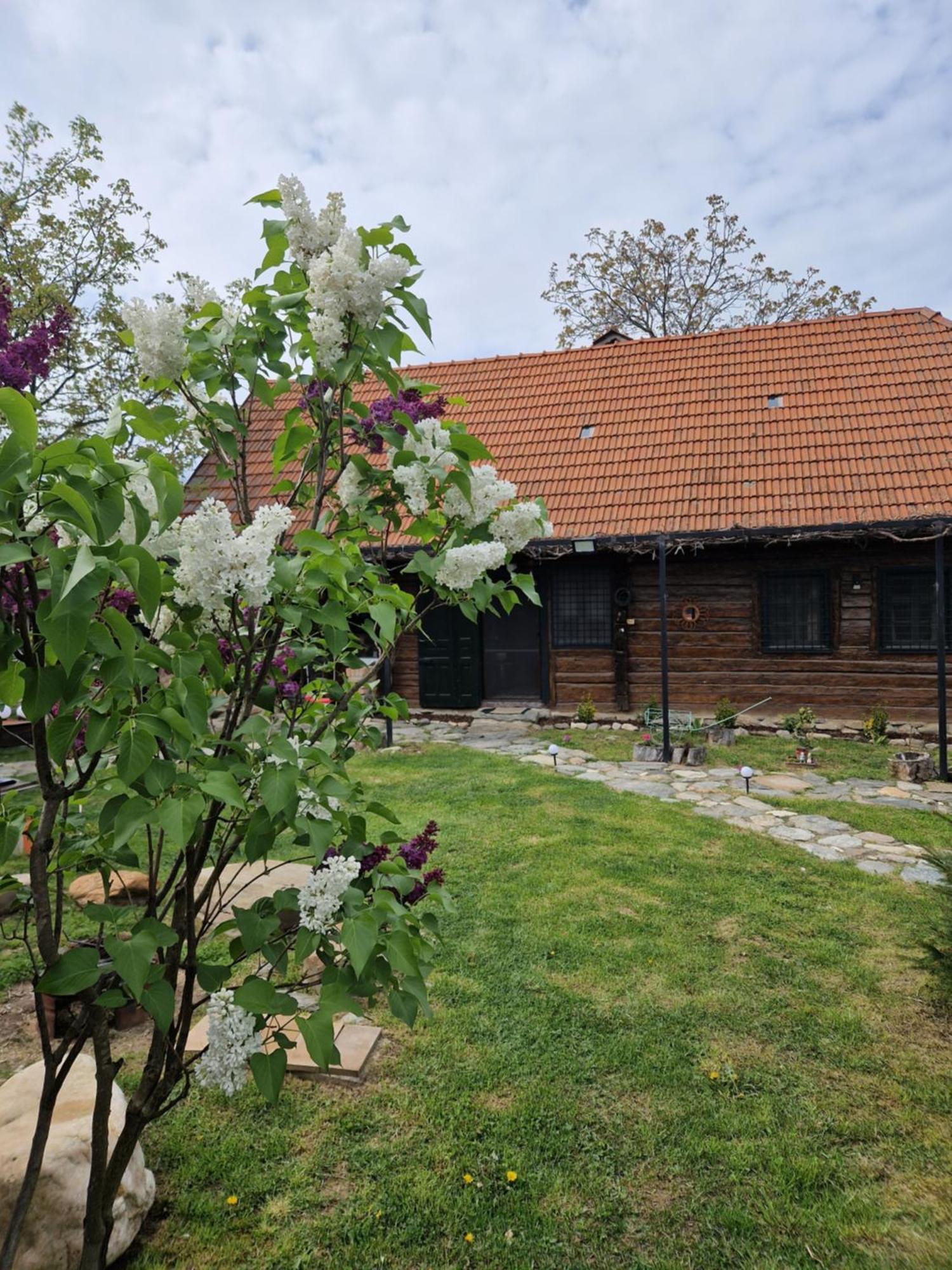 Villa Casa Hariton Dragus Exterior foto